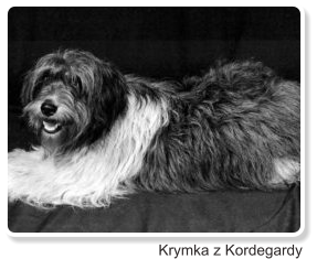 Krymka z Kordegardy